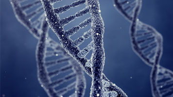 Forensic Science BSc Hons London South Bank University Forensic Science BSc Hons London South Bank University