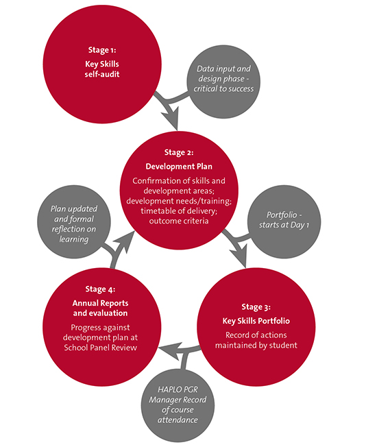 Research skills cycle diagram