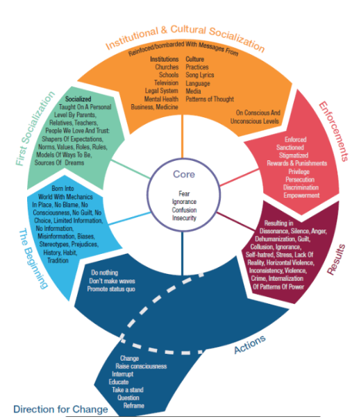 Cycle of socialization