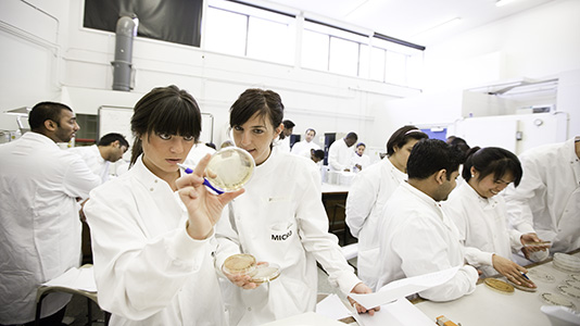 Students examining a petri dish in the microbiology lab
