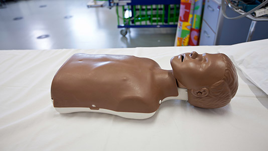 Anatomical dummy of a person’s head and thorax