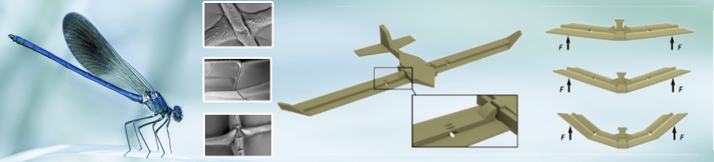 Collision-resistant wings