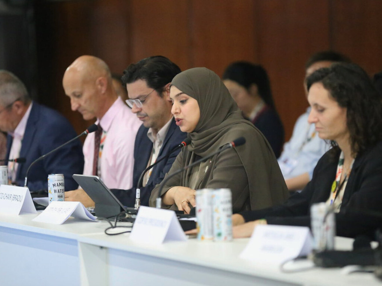 A panel of people speaking into microphones at a summit