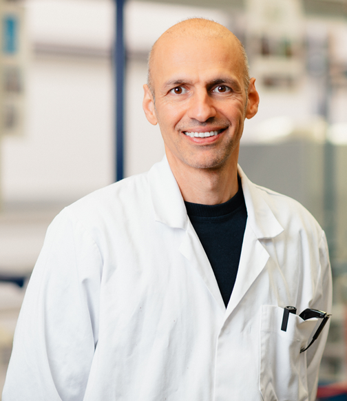 Dr. Hassan Zabihi-Shahri
