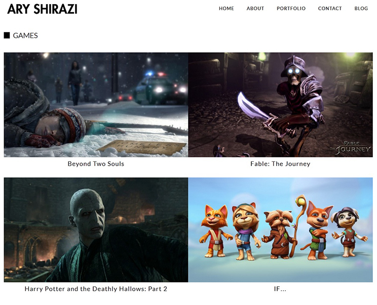 Ari Shirazi online portfolio website