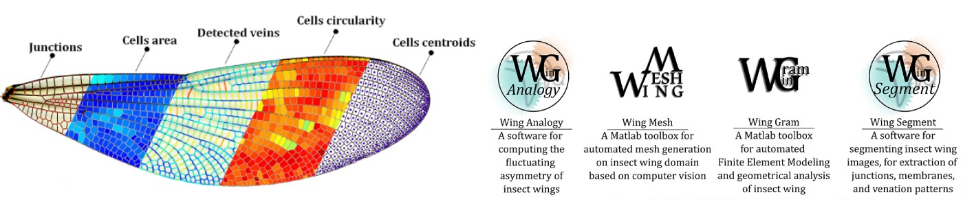 Wing Software