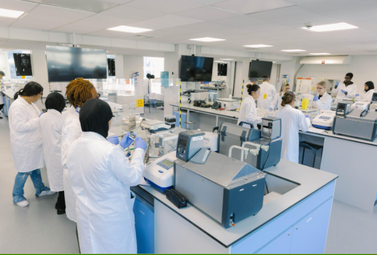 College of Health and Life Sciences