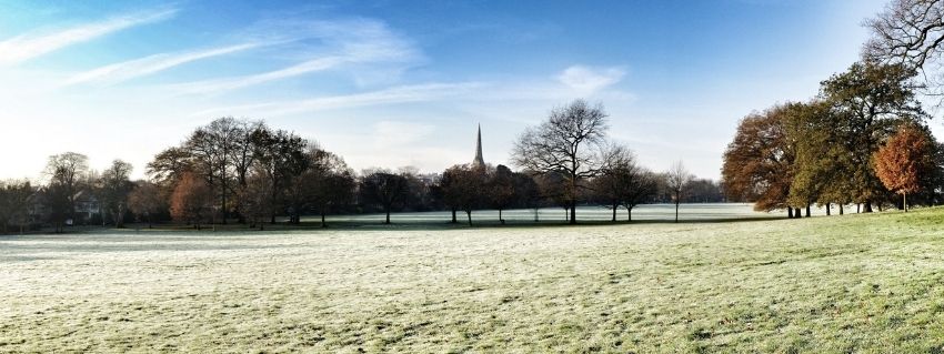 frosty morning park