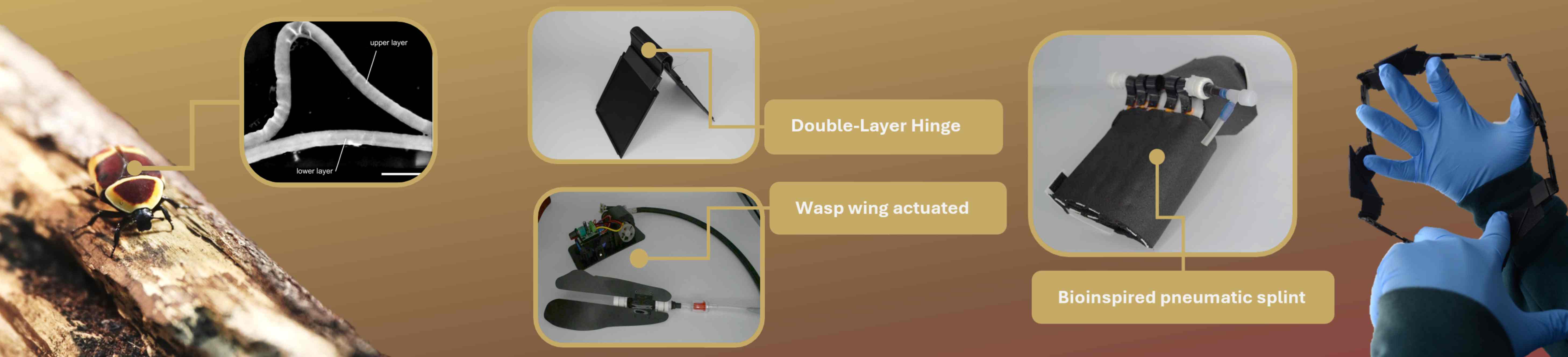 Bioinspired Splint