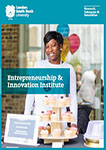 Entrepreneurship and Innovation Institute Brochure