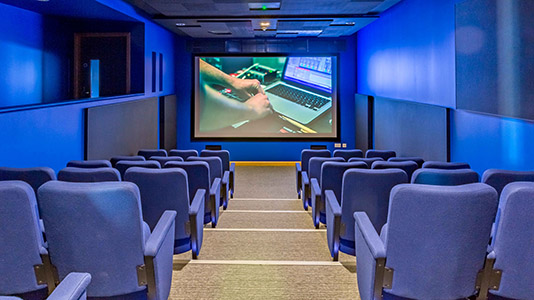 Inside the Screening Cinema