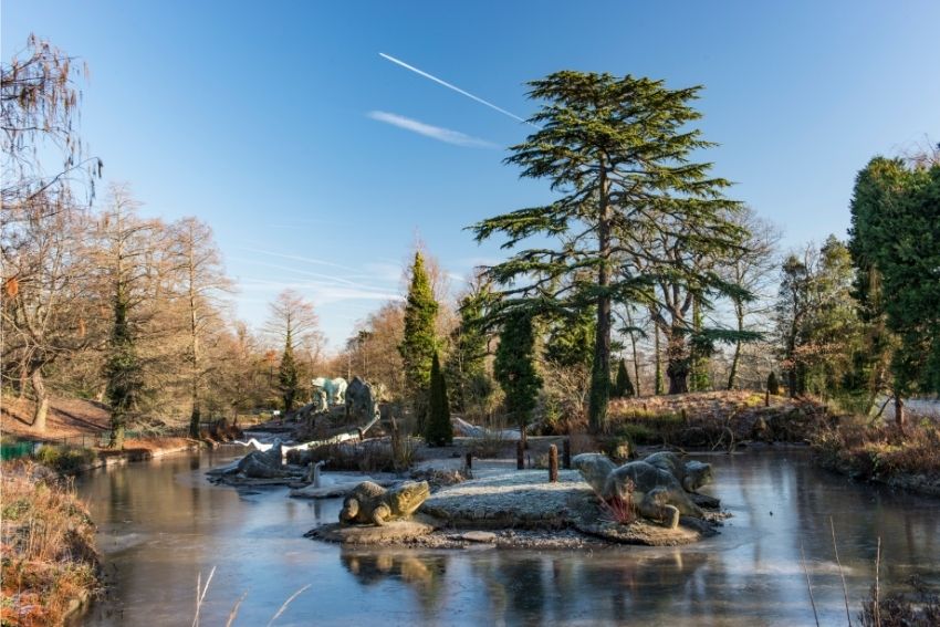 ddinosaurs in a pond