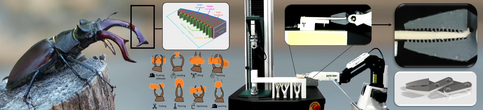 Bioinspired surgical tools