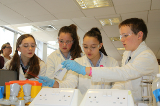 School children get University lessons in chemistry at LSBU