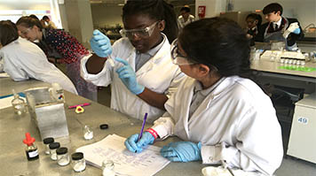 Success at the Salters’ Festival of Chemistry
